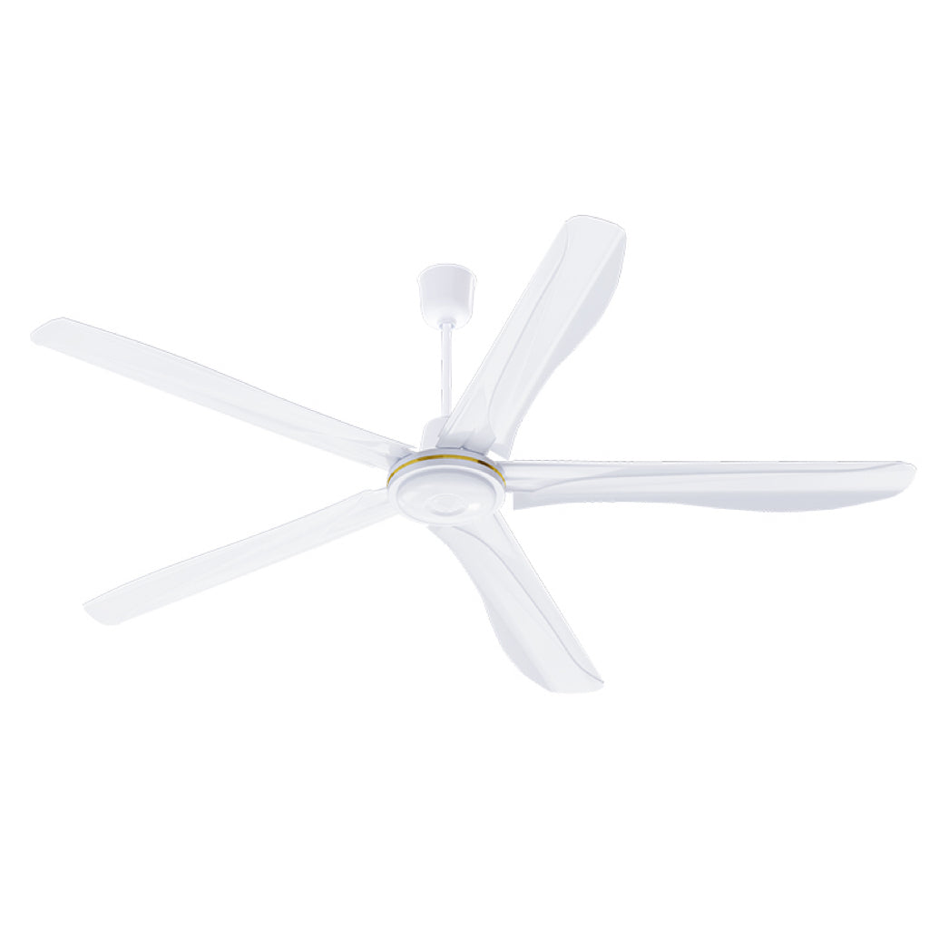 Durable ceiling fan with remote control